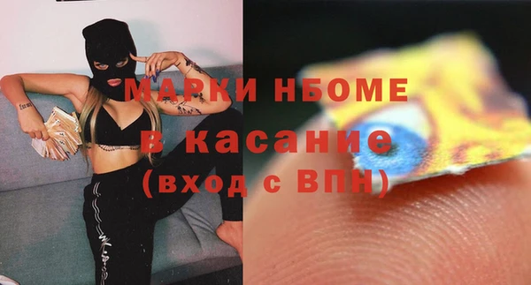 МДПВ Бородино