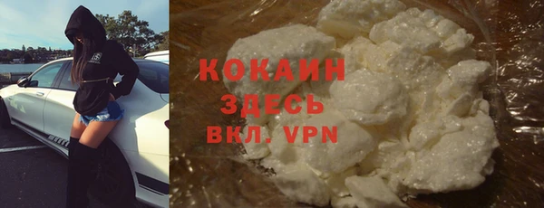 МДПВ Бородино