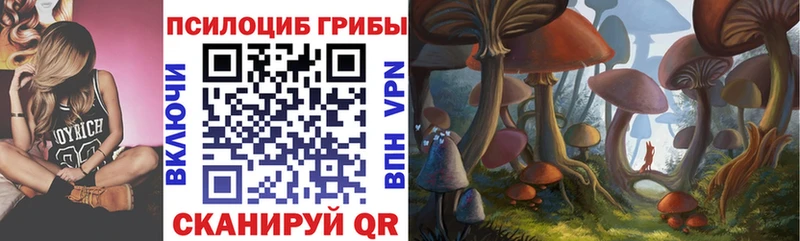 Галлюциногенные грибы MAGIC MUSHROOMS  Бирюсинск 